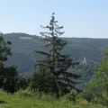 IMG 9389 Grad Rihemberk in Govec od domačije Srečka Kosovela v Preserju