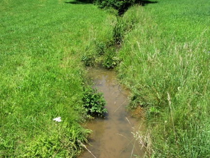 IMG 4202 Potok Ponikvica nekaj metrov pred požiralniki v Lokah