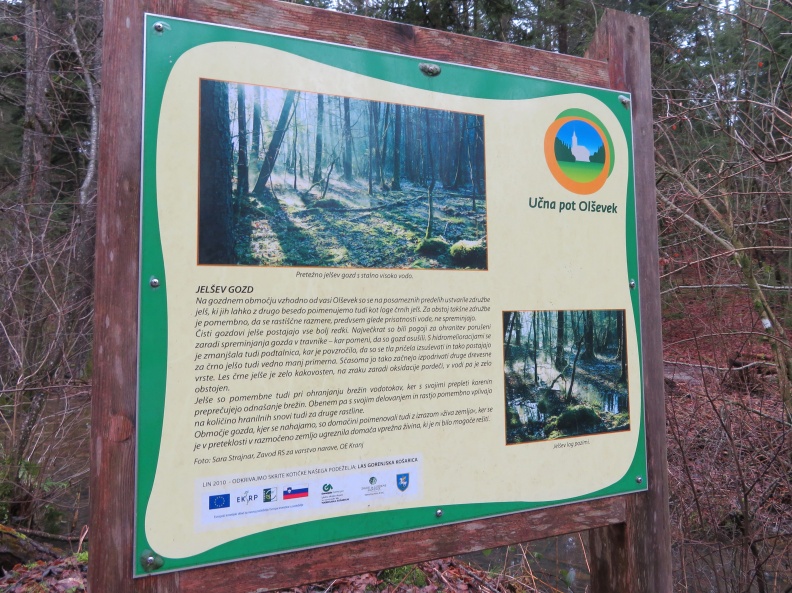 IMG_0771_Učna pot Olševek-info tabla Jelšev gozd.JPG