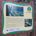 IMG 0771 Učna pot Olševek-info tabla Jelšev gozd