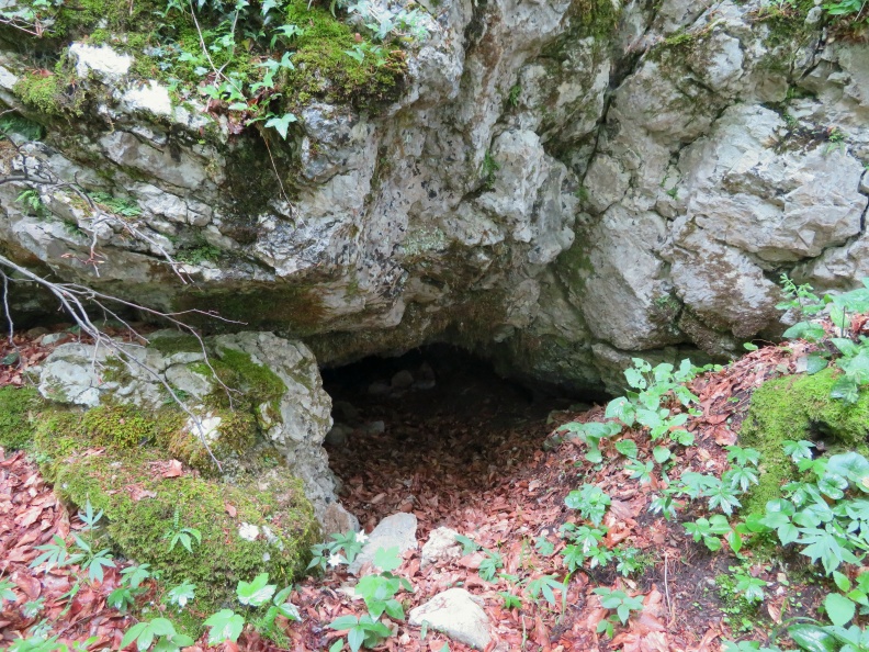 IMG_3655_Rovnik-Podskokarjeva jama.JPG