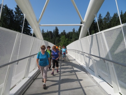 IMG 3933 Most vdihljajev-kolesarski most čez gorenjsko avtocesto 