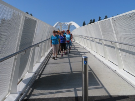 IMG 3935 Most vdihljajev-kolesarski most čez gorenjsko avtocesto 