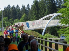 IMG 3936 Most vdihljajev-kolesarski most čez gorenjsko avtocesto 