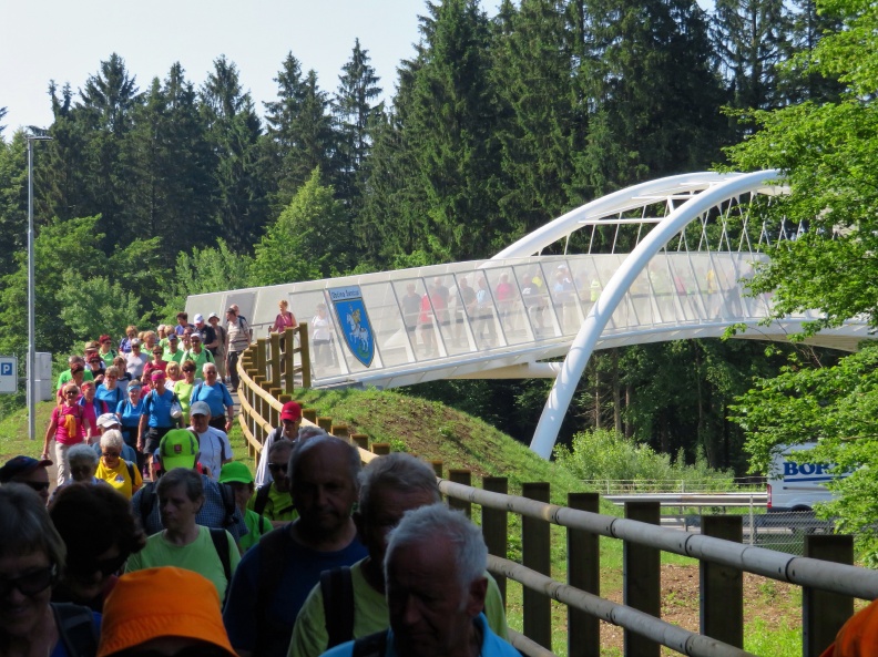 IMG_3936_Most vdihljajev-kolesarski most čez gorenjsko avtocesto .JPG