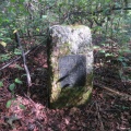 IMG 5253 Spomenik padlemu psu ob robu gozda blizu Velesovske ceste