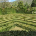 IMG 9134 Valsanzibio-park pri vili Barbarigo-labirint