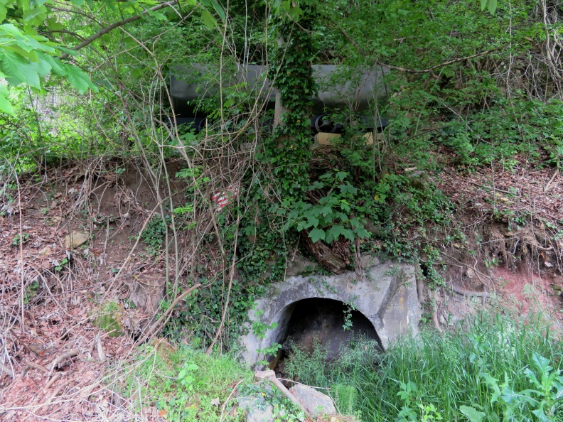 IMG_0451_Motnik-vhod v nekdanji rudnik rjavega premoga.JPG