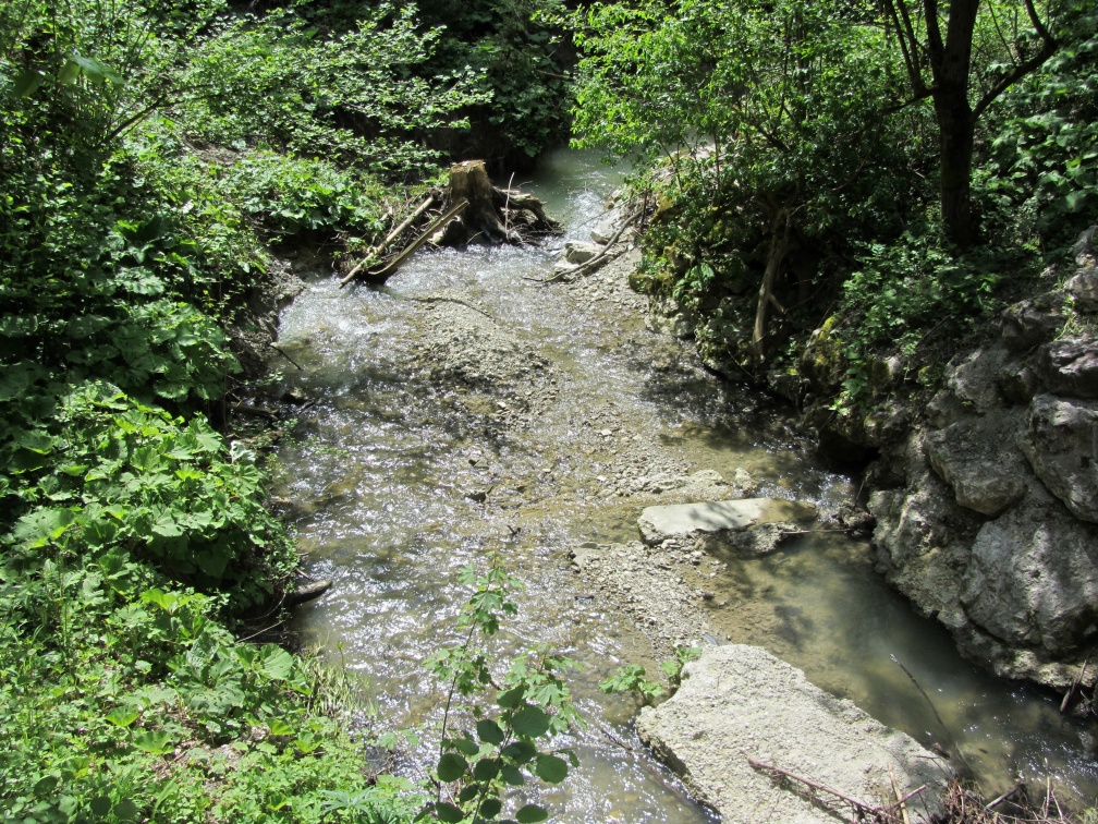 IMG 2343 Potok Peračica