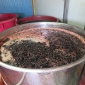 IMG 0476 Križ-fermentacija grozdja pred prešanjem