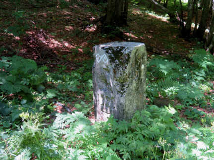 IMG 7204 Nekdanji mejni kamen na sedlu Vrh Bače