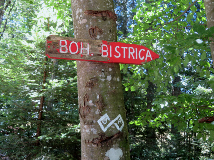 IMG 7216 Smerokaz za Bohimjsko Bistrico na planini Strme